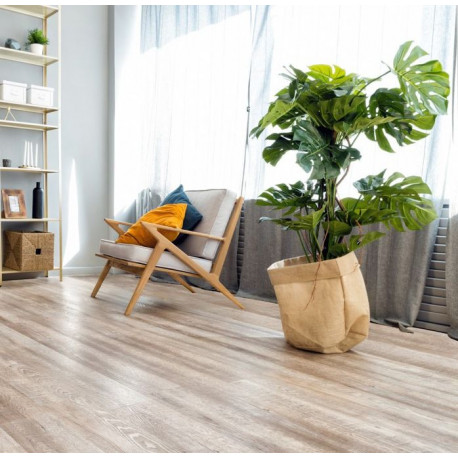 ECO 2-10 Дуб Carry SPC Ламинат Real wood